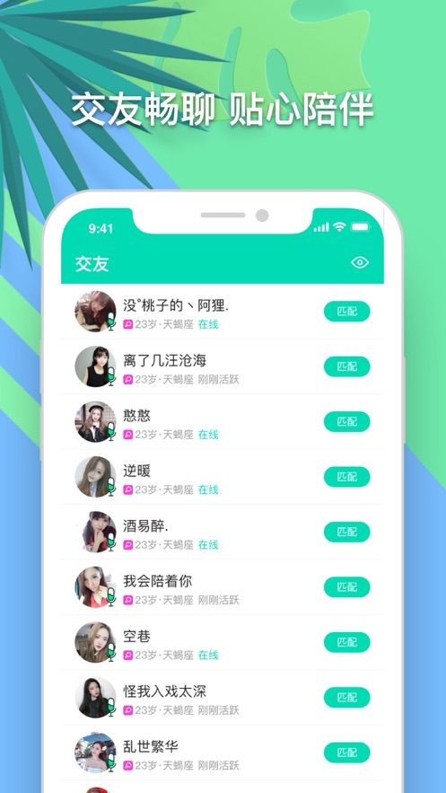 社交在线最新下载，巷弄深处的独特邂逅探索之旅