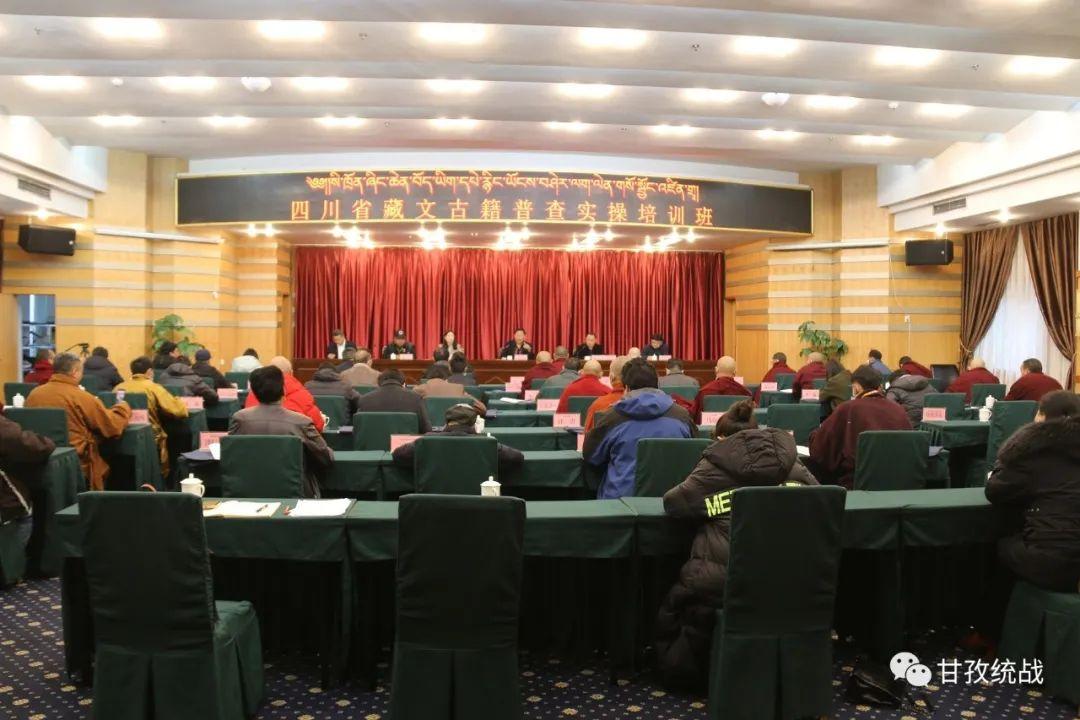 甘洛最新新闻综述，观点阐述与综合分析