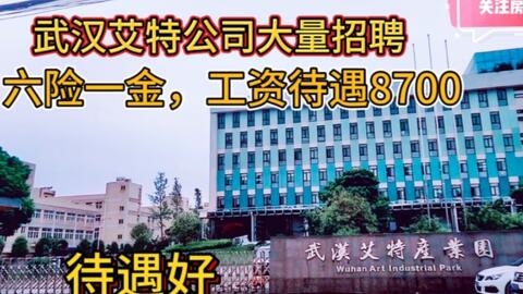 德庆最新厂招聘，探寻小巷中的隐藏宝藏，开启未知的美好之旅