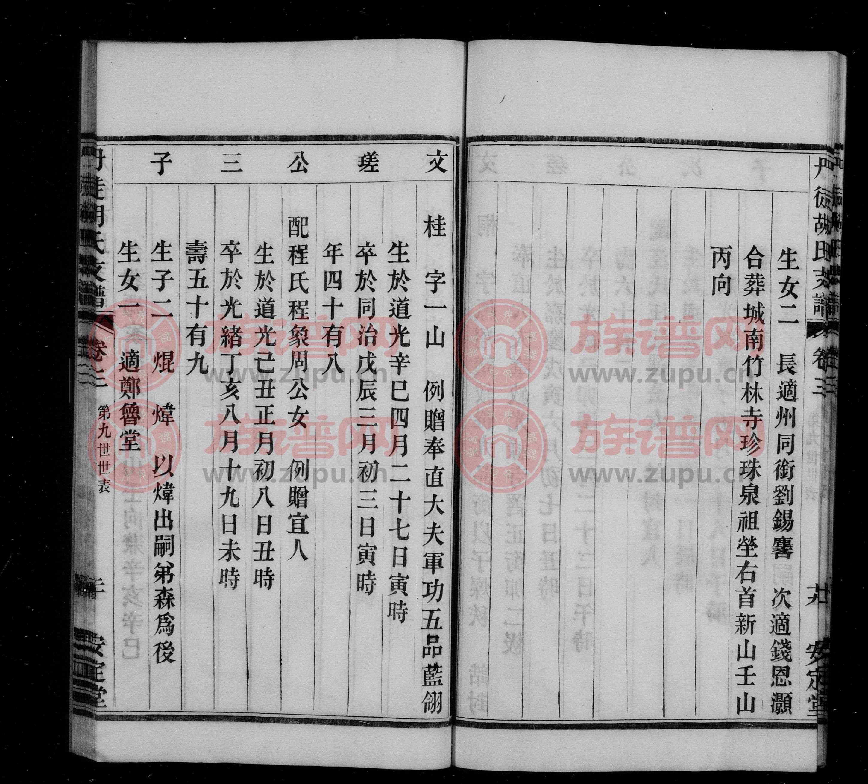 薄氏最新族谱，探寻家族历史与温馨日常的记录