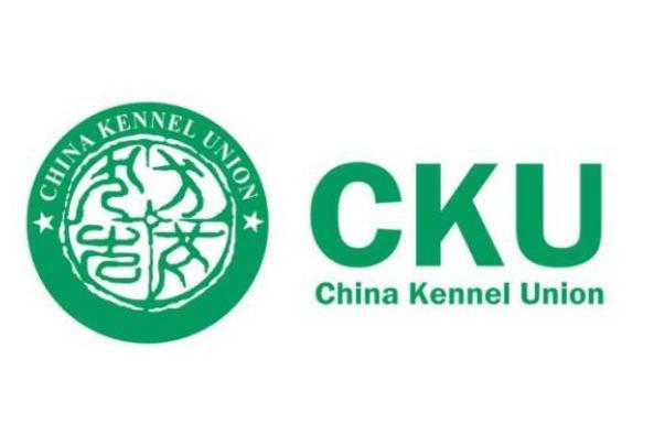 CKU总部电话查询最新指南，步骤详解