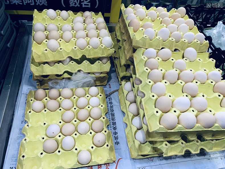 回龙观鸡蛋价格最新动态，小巷中的美味惊喜
