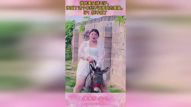 美女骑毛驴的温馨之旅，驴背上的奇妙时光
