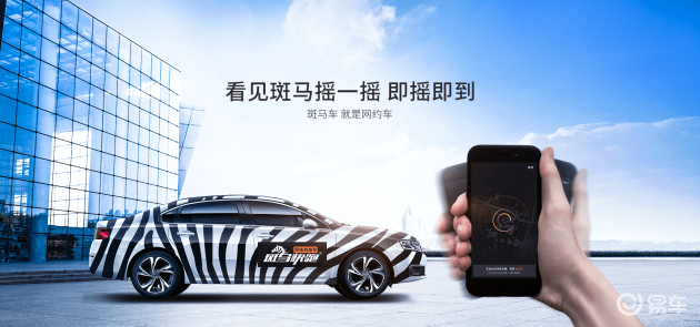 斑马快跑最新，自然美景的奇妙探索之旅