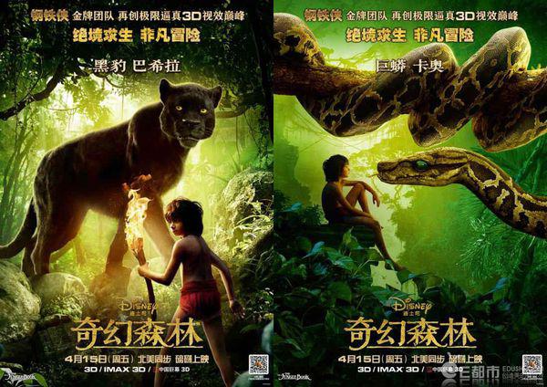 最新奇幻片，探索自然美景的奇妙之旅，内心平和宁静的追寻