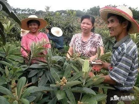 仙游最新投标工程,仙游最新投标工程，热点项目深度解析