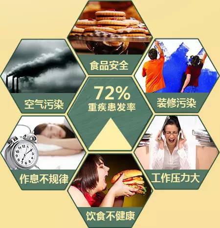 最新大病概率详解及应对指南，初学者与进阶用户的必备参考
