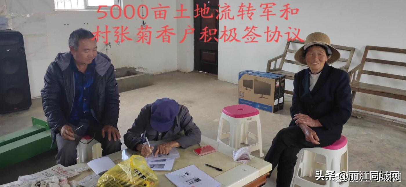 石榴集团，时代巨轮下的辉煌篇章最新进展