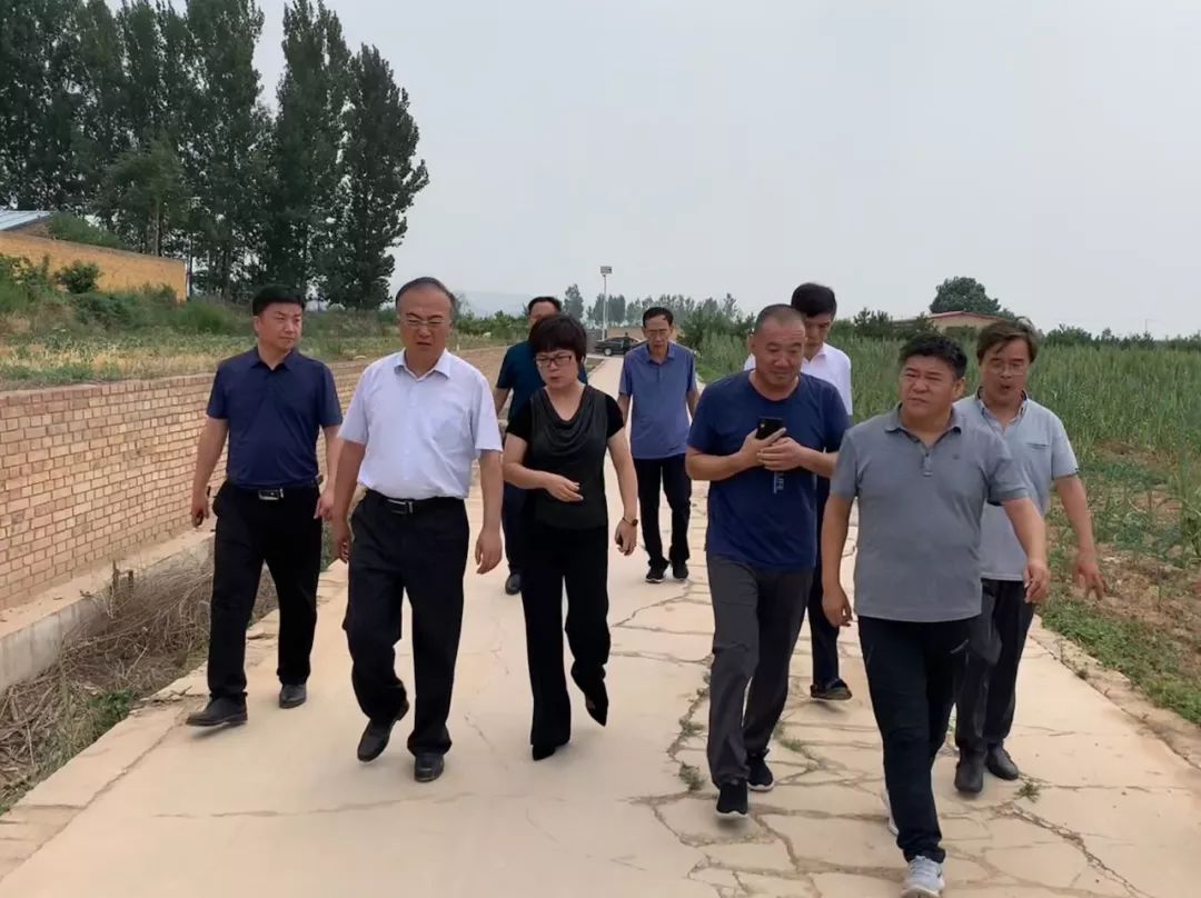 翼城最新报道，获取与解读新闻资讯的步骤指南