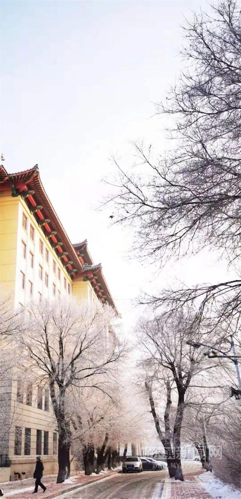 餐饮项目策划 第84页