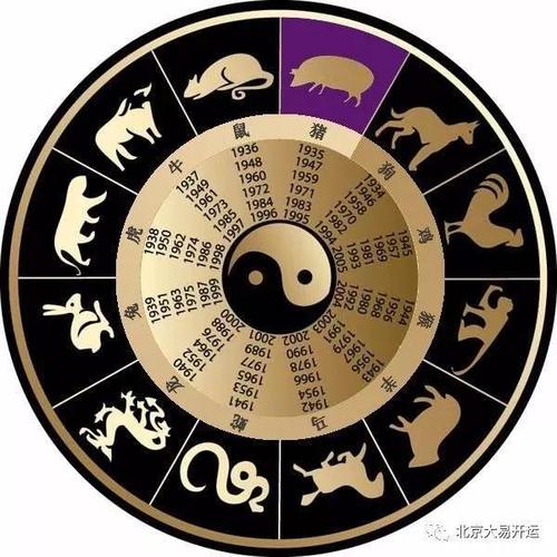 最新半命，现代生活中的新生命观念与生活方式探索