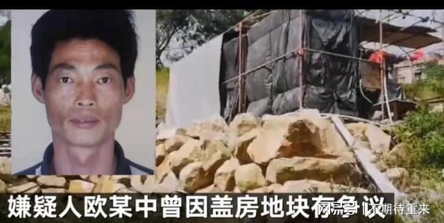 莆田最新杀人事件，悲剧背后的深刻反思