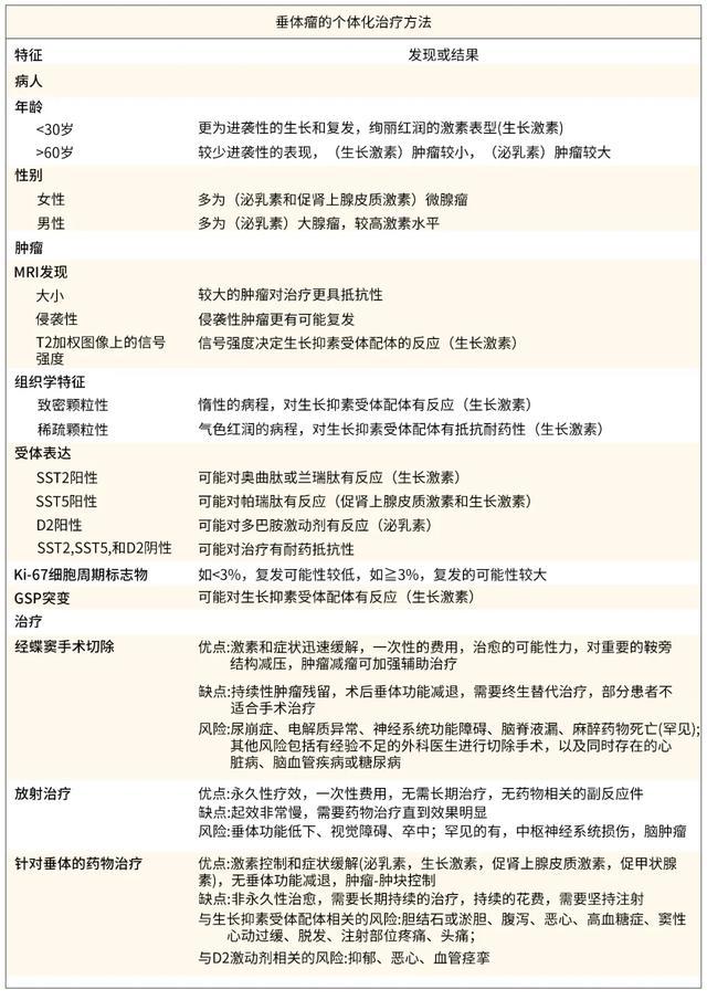 护理最新综述，小护士的温馨日常与友情纽带探索