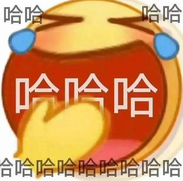 最新趣味表情包，小巷中的秘密乐园探秘