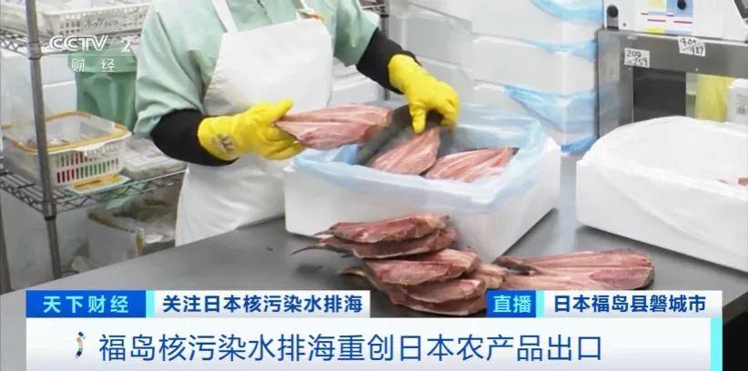 2025年鲍鱼最新报价及小巷深处的鲍鱼秘境探秘