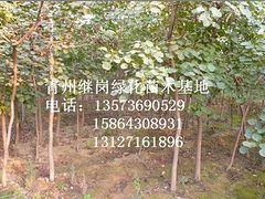 餐饮项目策划 第37页