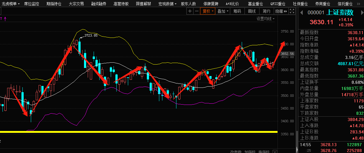 002721股票行情深度分析