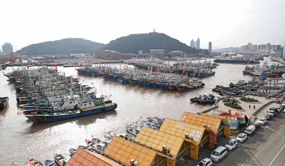 掌握最新渔船动态，全面指南（从初学者到进阶用户）