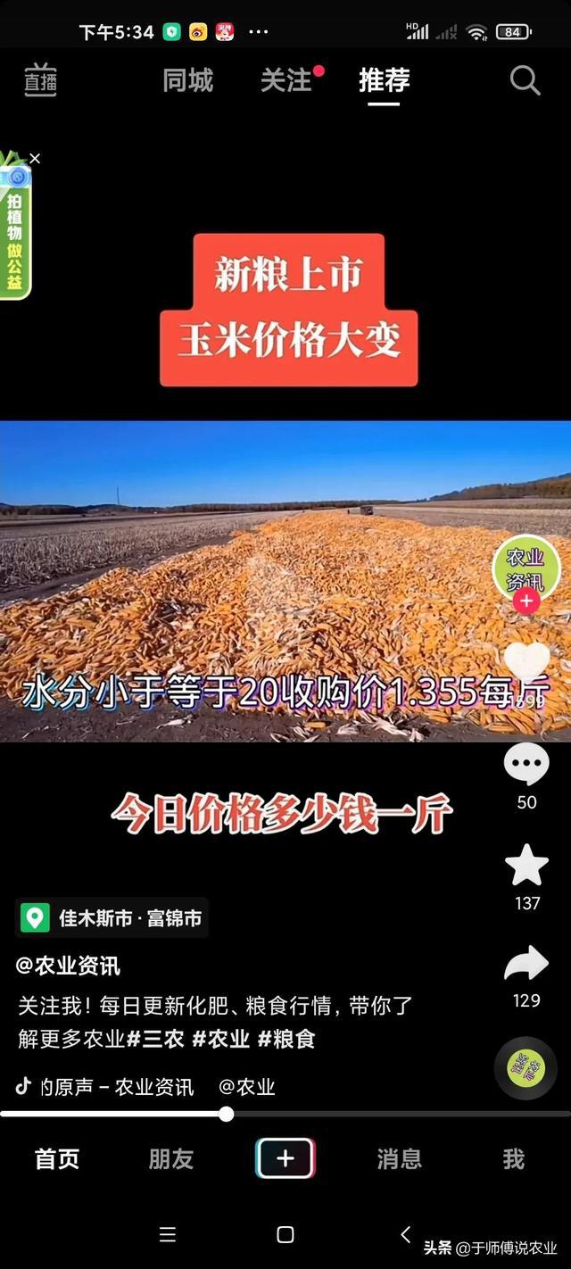 青岛玉米价格动态，变化中的学习，展现自信与成就的力量