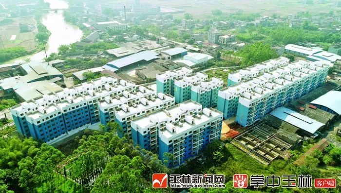 玉林福绵最新动态，发展与创新并行的探讨