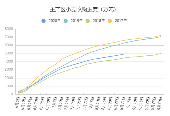 专家预测明年小麦行情，乡野展望与趋势分析