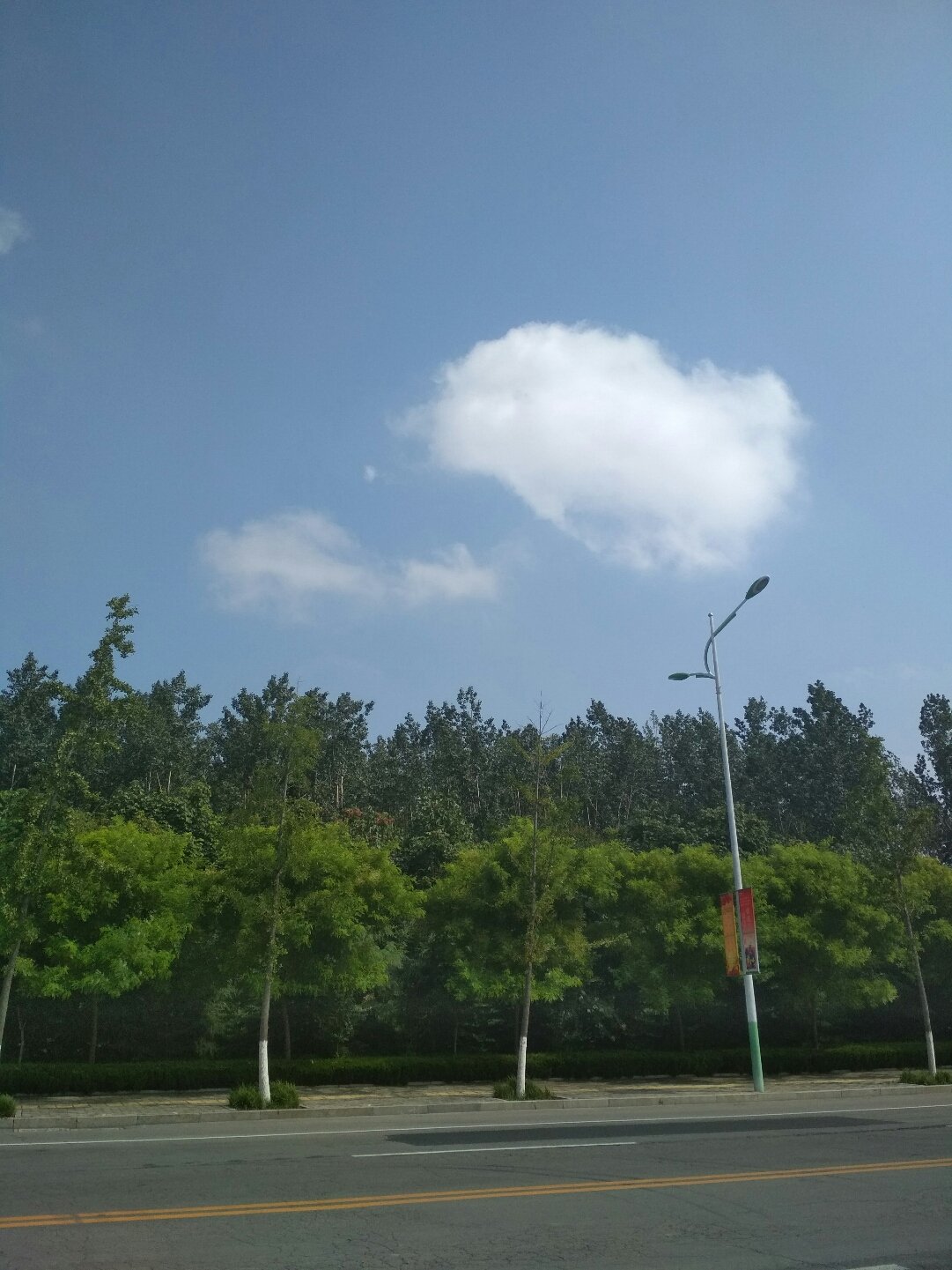 兖州天气预报揭秘，小巷深处的惊喜天气与特色小店的独特魅力