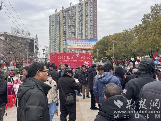 大冶还地桥镇，时代变迁中的繁荣缩影，最新资讯一览
