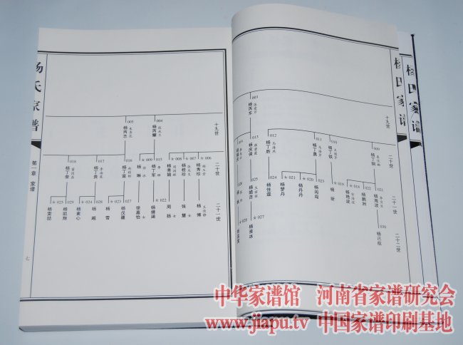 临漳族谱大全最新版，探寻家族之根与温馨日常故事