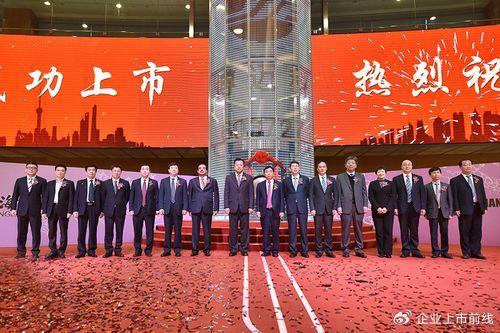 申迪集团上市，回顾背景、重要事件与地位的影响