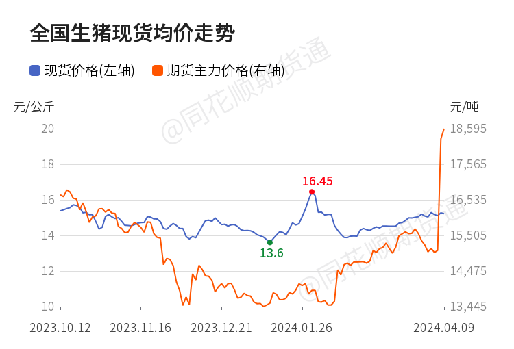 吉林梨树生猪市场价格动态，与自然美景的旅行对话之旅