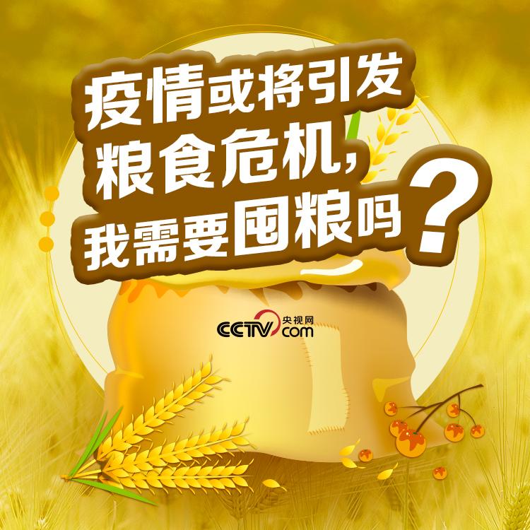 世界疫情动态更新与小巷深处的独特风景与特色小店揭秘