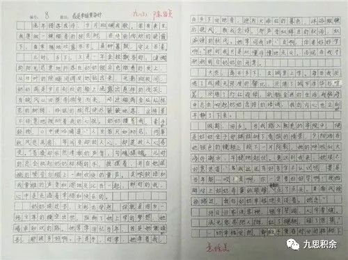 高科技智能拉力赛系统下的拨河比赛新体验
